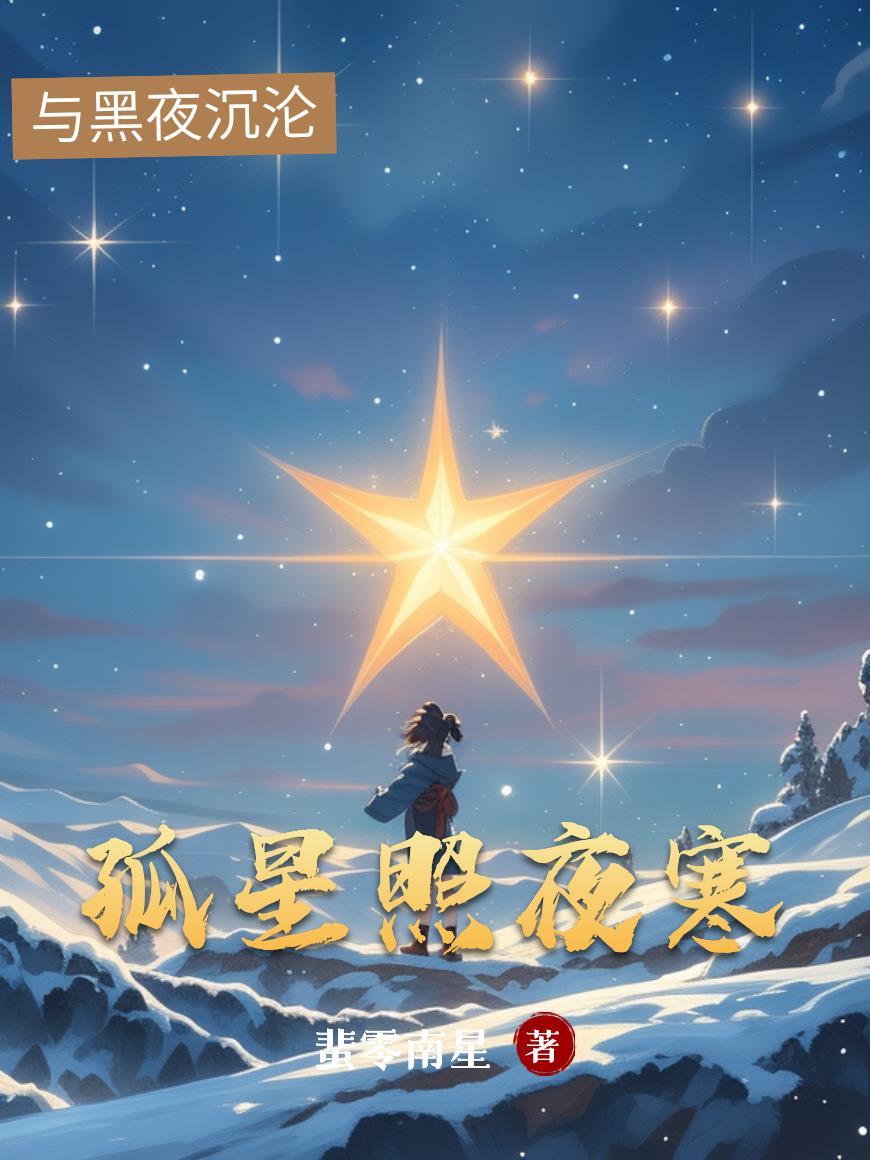 孤夜照寒灯