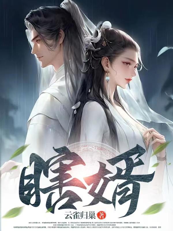 瞎婿被休